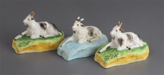 Three Madeley porcelain figures of goats at lodge, c.1830, L. 10cm